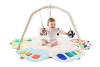 The Play Gym