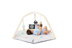 The Play Gym