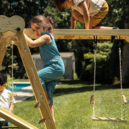 Chestnut - Outdoor and Indoor 8-in-1 Jungle Gym for Toddlers Playset.