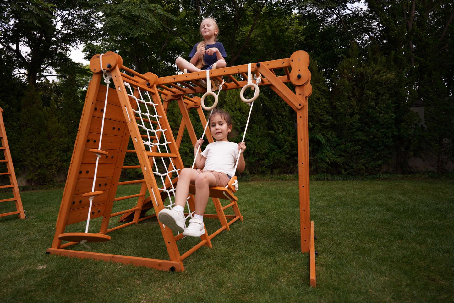 Chestnut - Outdoor and Indoor 8-in-1 Jungle Gym for Toddlers Playset.