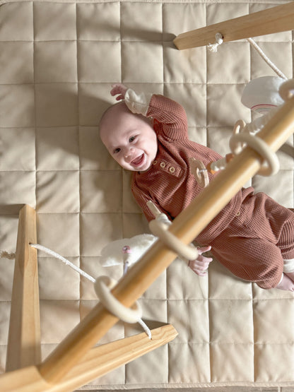 Lilac Wooden Baby Gym.