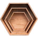 Set of three wooden hexagonal trays on a white background