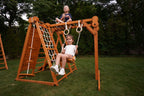Avenlur Chestnut indoor and outdoor climber moved outside for summer