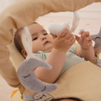 Avenlur Fir baby bouncer features: adjustable recline, washable cushion, folds flat