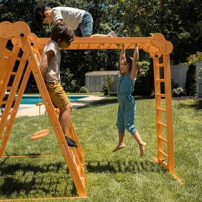 Chestnut - Outdoor and Indoor 8-in-1 Jungle Gym for Toddlers Playset.