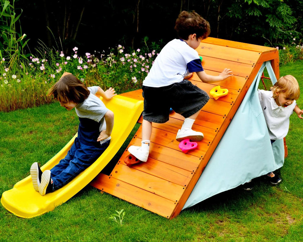 Palm - 5-in-1 Outdoor and Indoor Playground Playset.