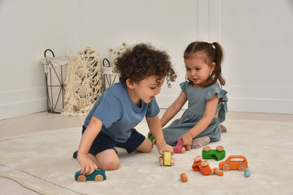 Wooden Car Toy set - 10 Piece Set.