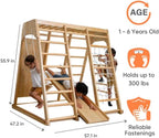 Avenlur Magnolia indoor jungle gym for kids with climbing net and swing